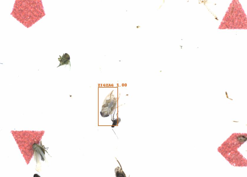 Fullscreen Image