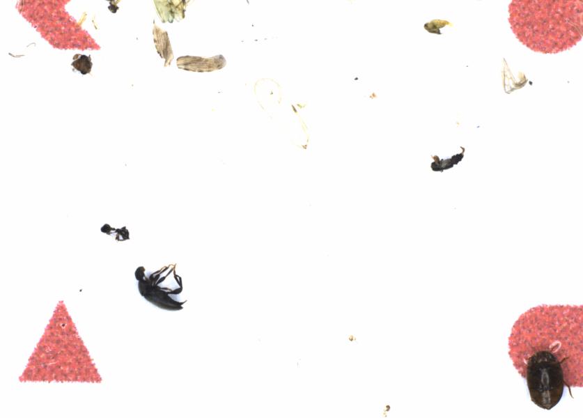 Fullscreen Image