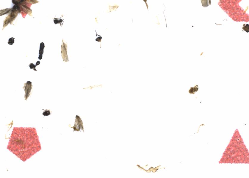 Fullscreen Image