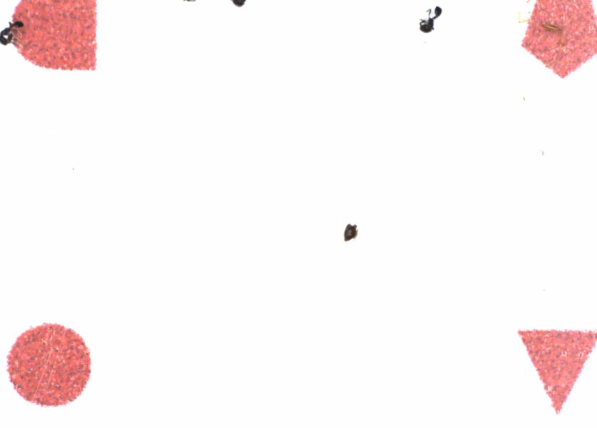 Fullscreen Image