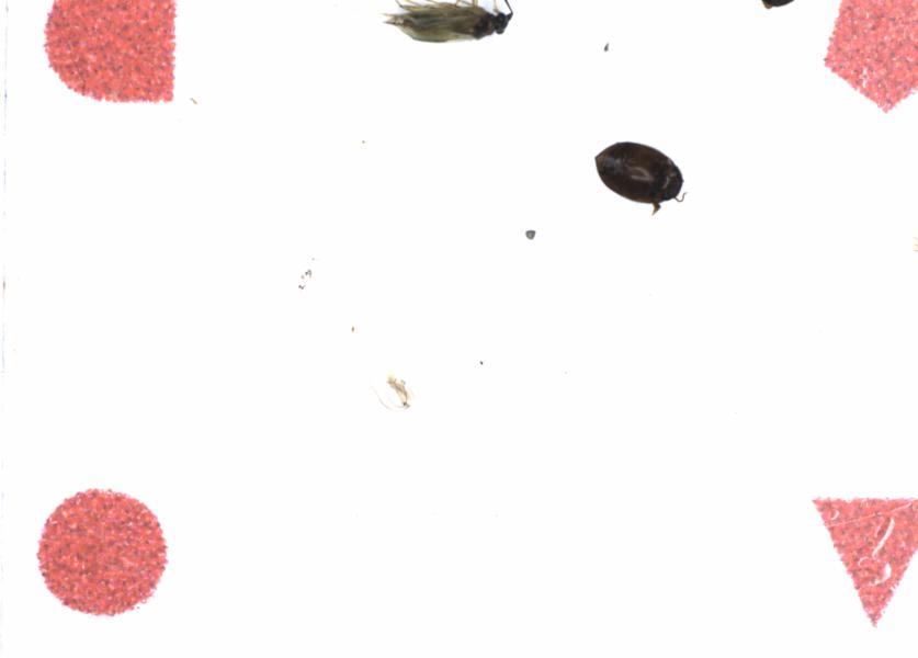 Fullscreen Image