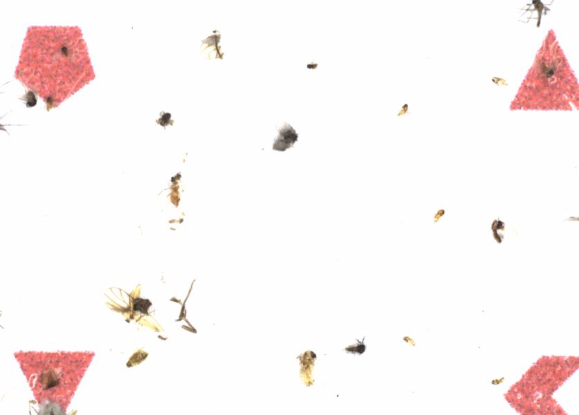 Fullscreen Image