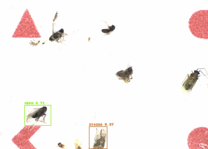 Fullscreen Image