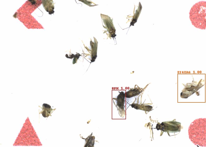 Fullscreen Image
