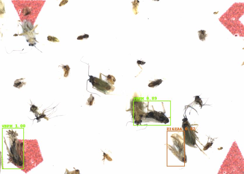 Fullscreen Image