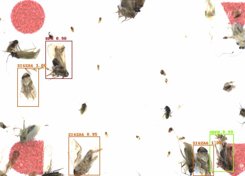 Fullscreen Image
