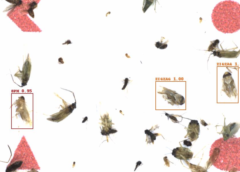 Fullscreen Image