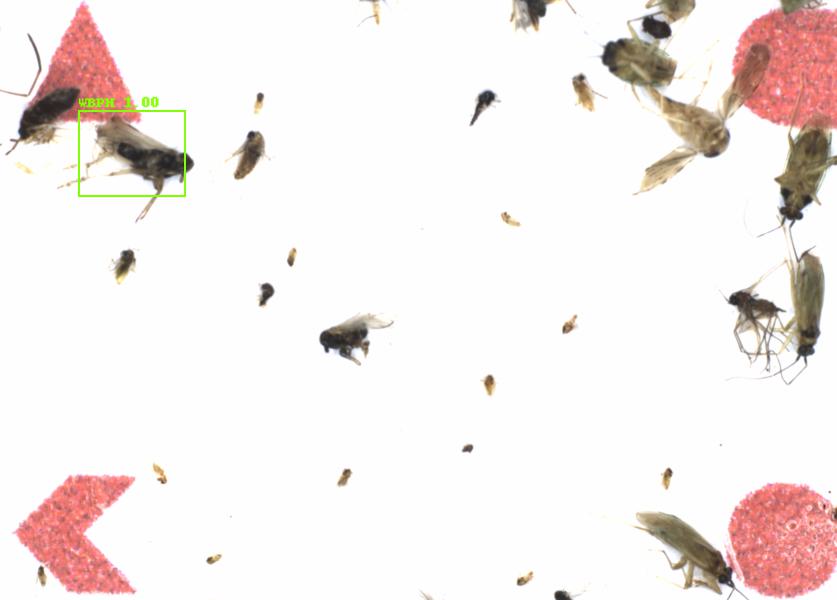 Fullscreen Image