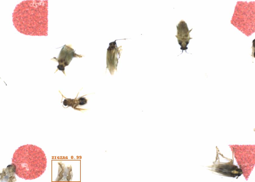 Fullscreen Image