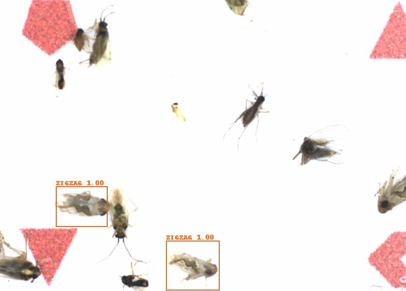 Fullscreen Image