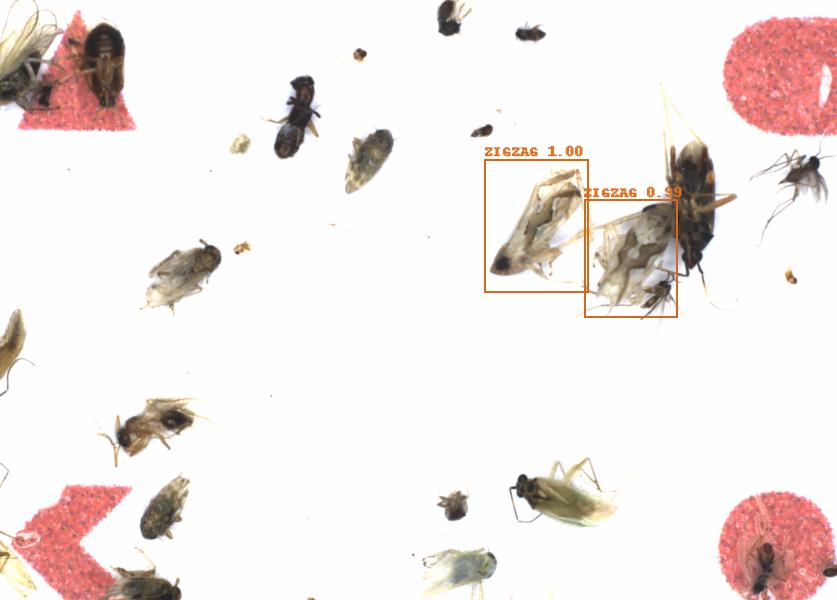 Fullscreen Image