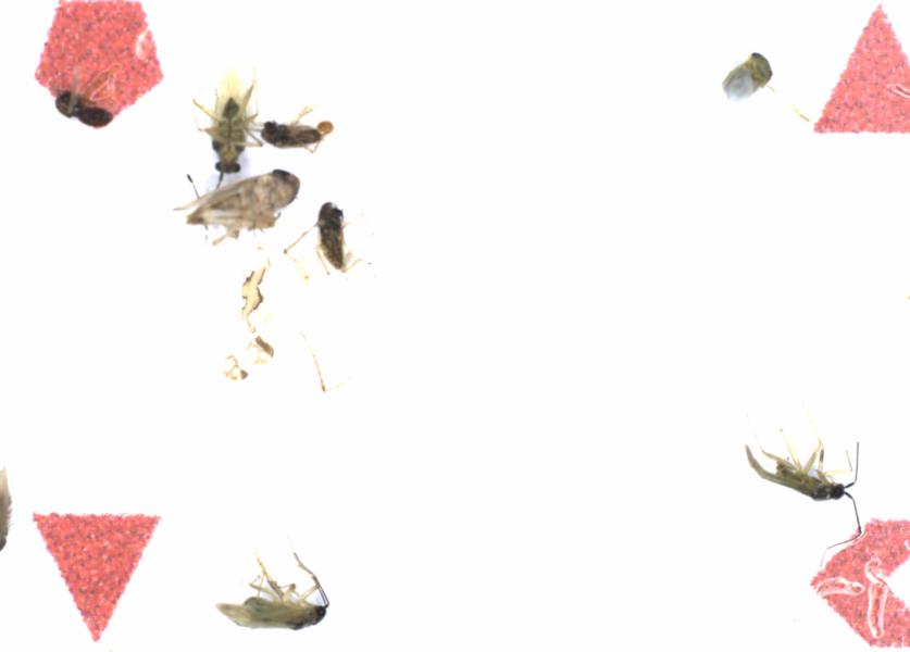 Fullscreen Image