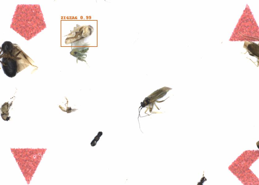 Fullscreen Image