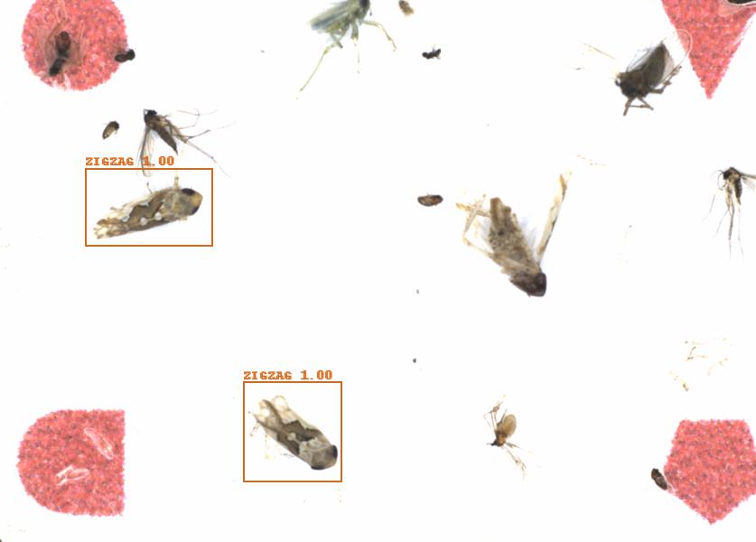 Fullscreen Image