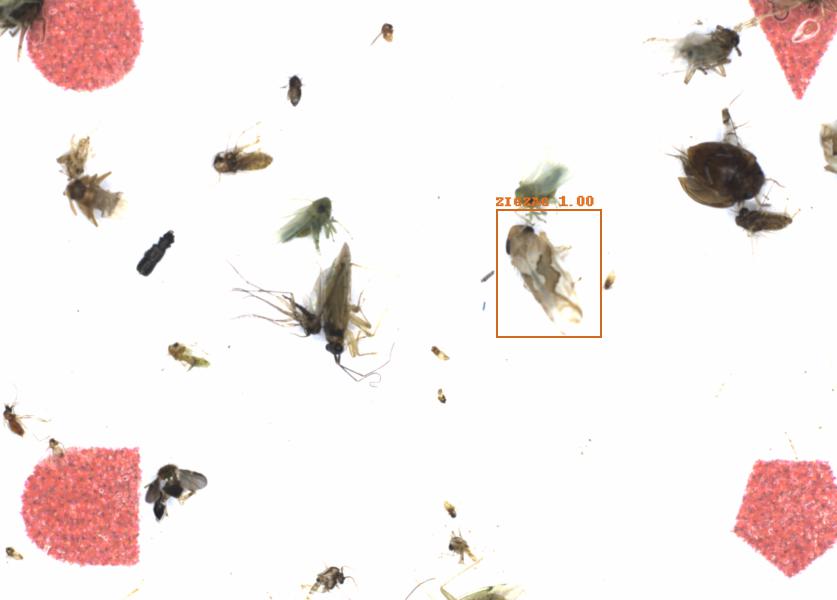 Fullscreen Image