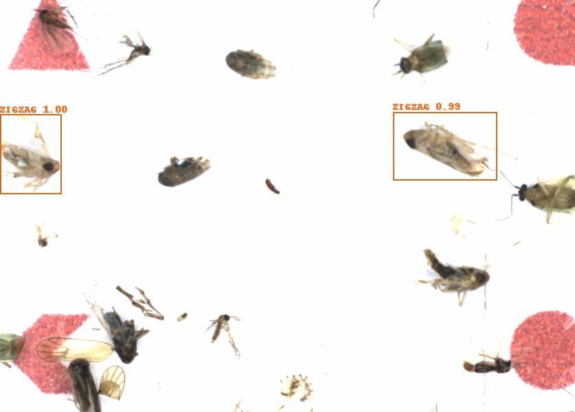 Fullscreen Image