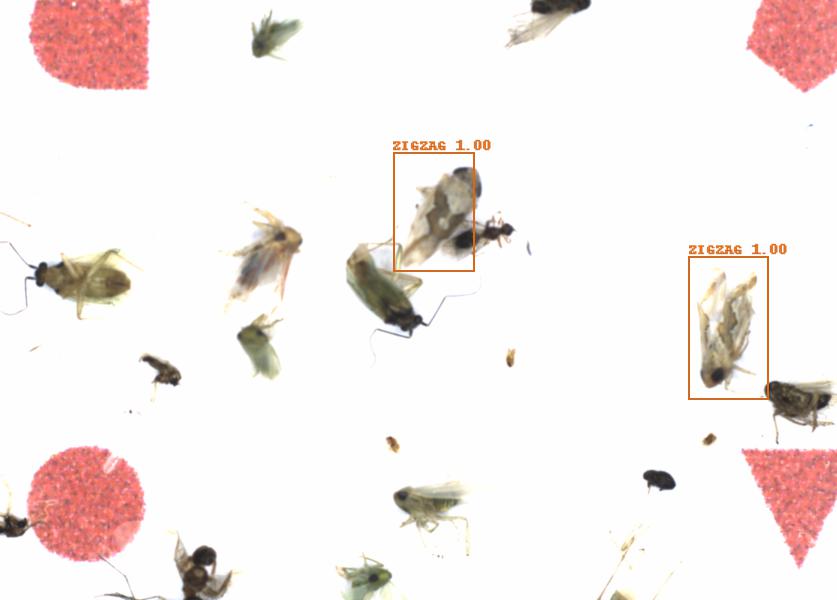 Fullscreen Image