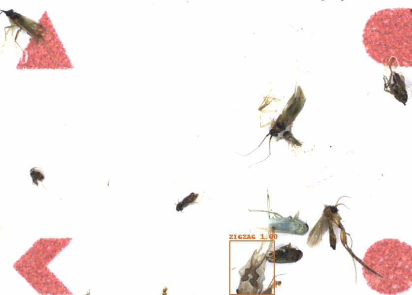 Fullscreen Image