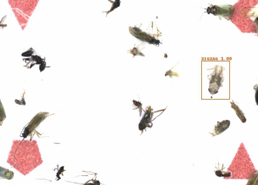 Fullscreen Image