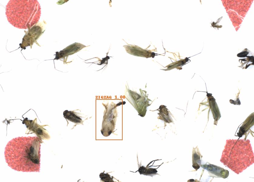 Fullscreen Image