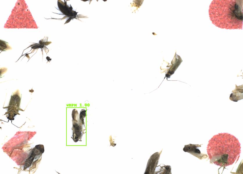 Fullscreen Image