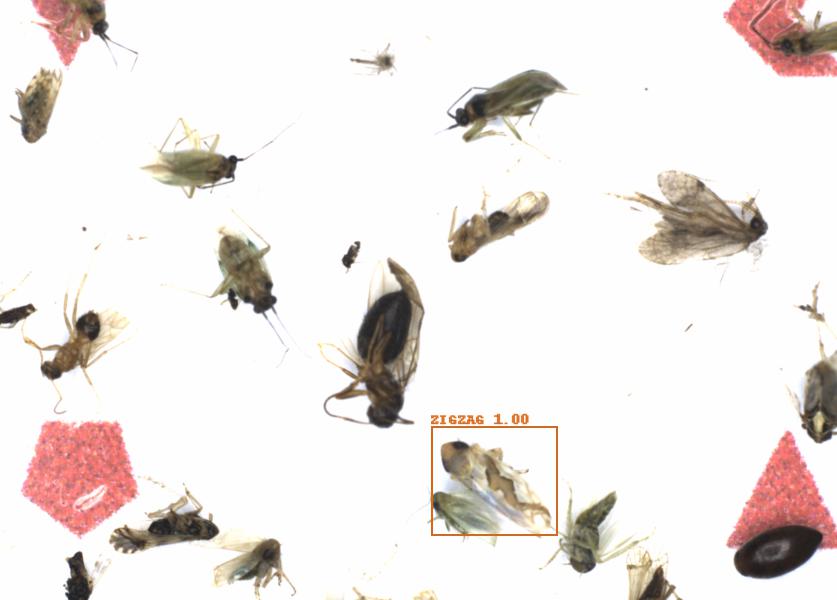 Fullscreen Image