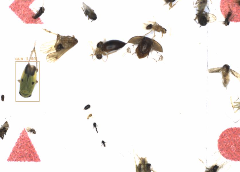 Fullscreen Image