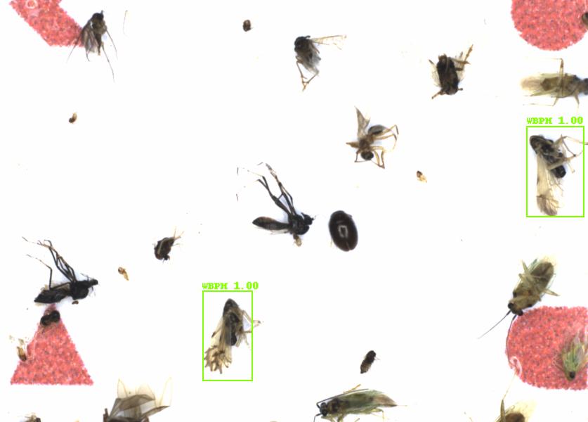 Fullscreen Image