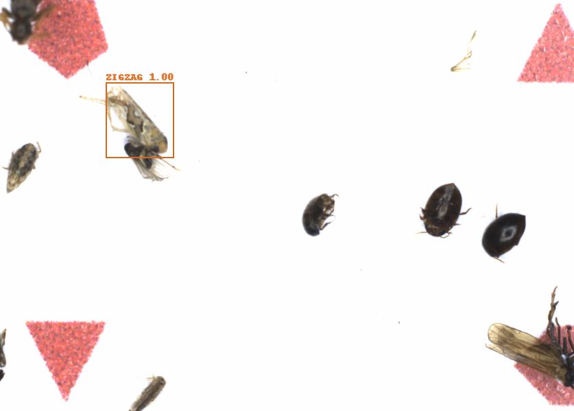 Fullscreen Image