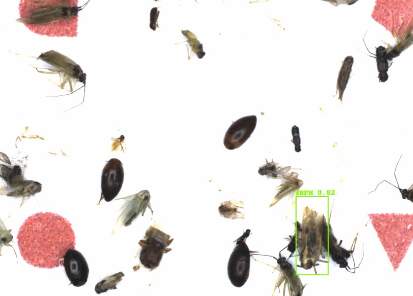 Fullscreen Image