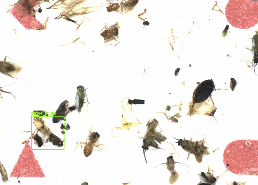 Fullscreen Image