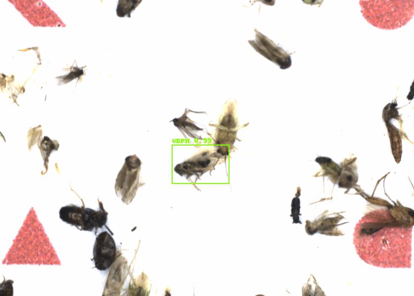 Fullscreen Image