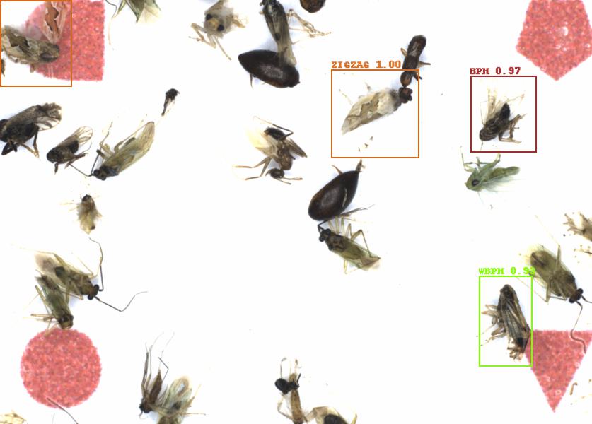 Fullscreen Image