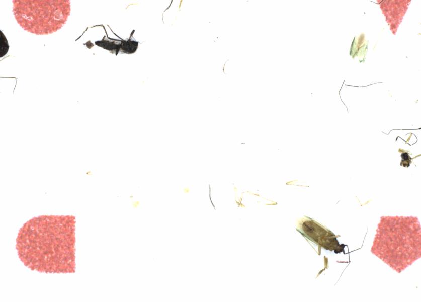 Fullscreen Image