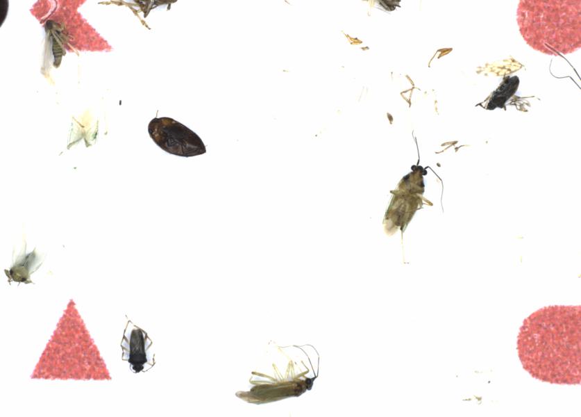 Fullscreen Image