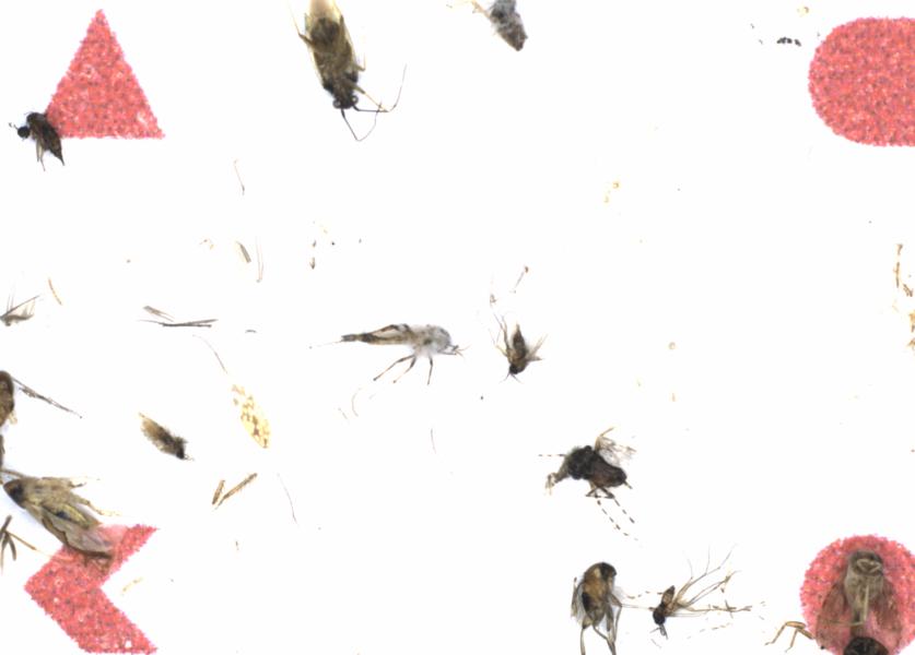 Fullscreen Image