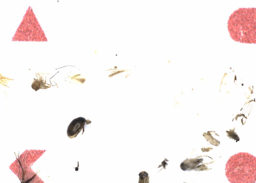 Fullscreen Image