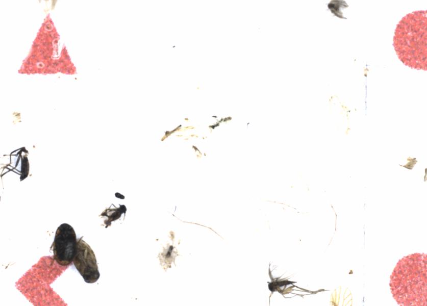 Fullscreen Image