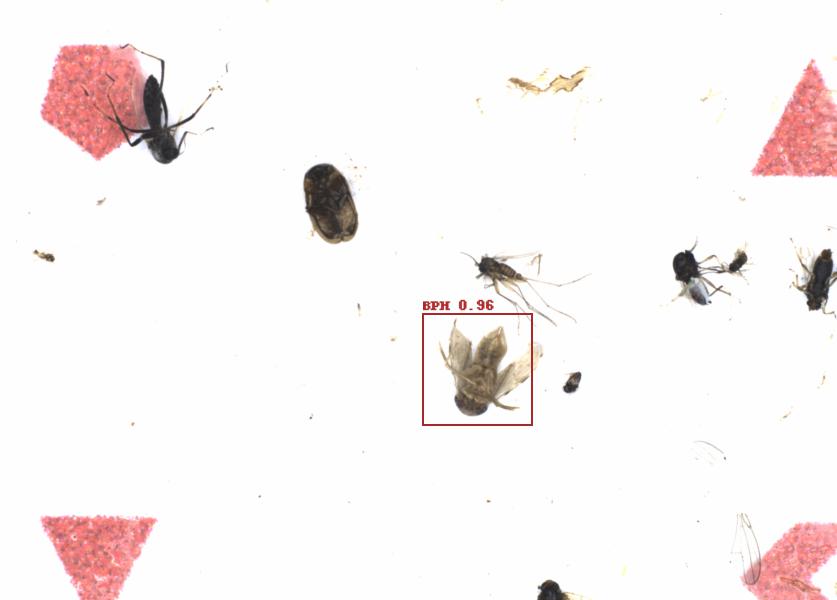 Fullscreen Image