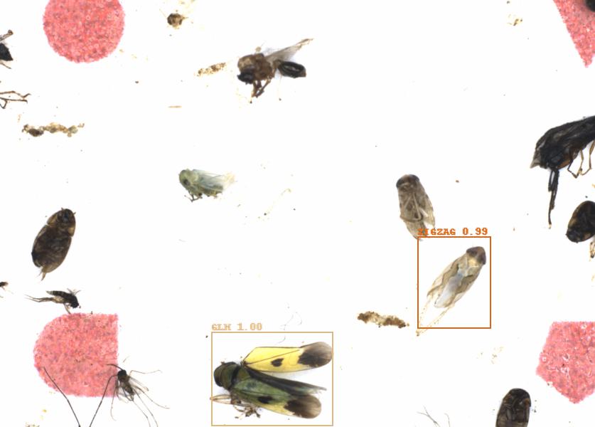 Fullscreen Image
