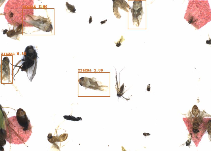 Fullscreen Image