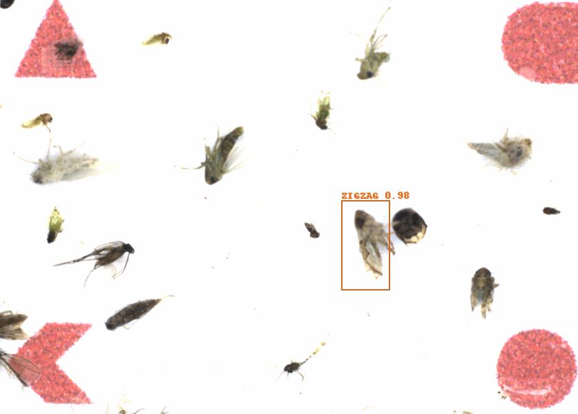Fullscreen Image