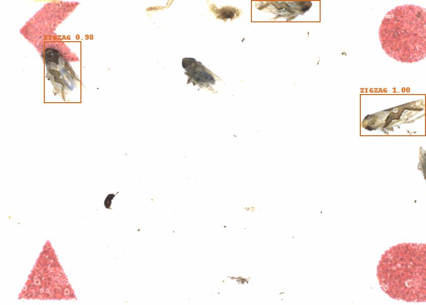 Fullscreen Image