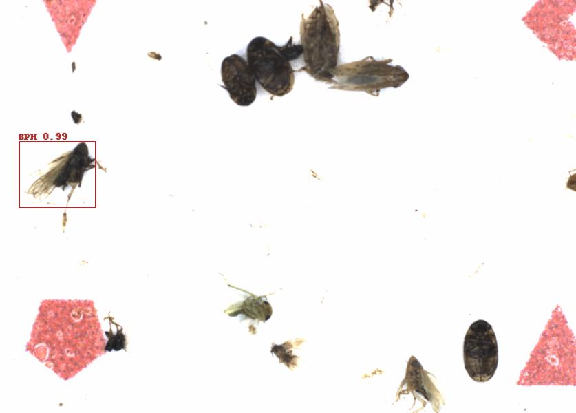 Fullscreen Image