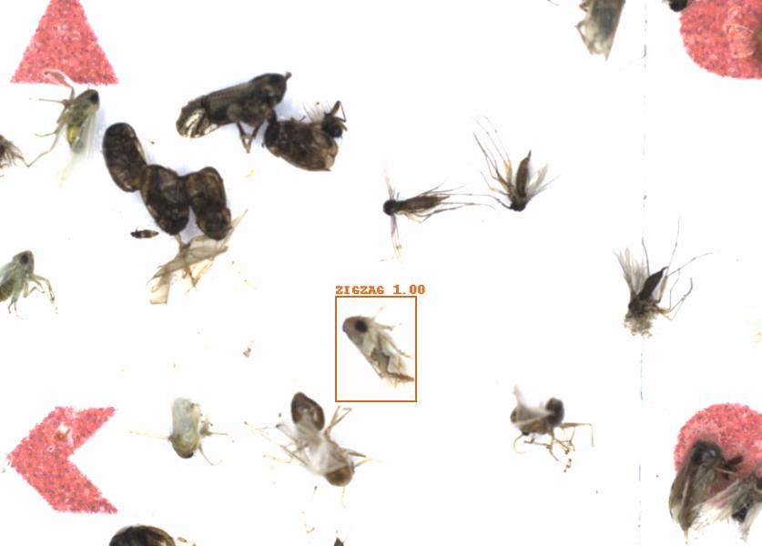 Fullscreen Image