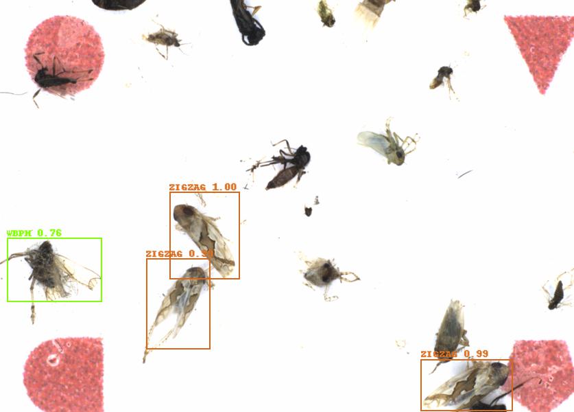 Fullscreen Image