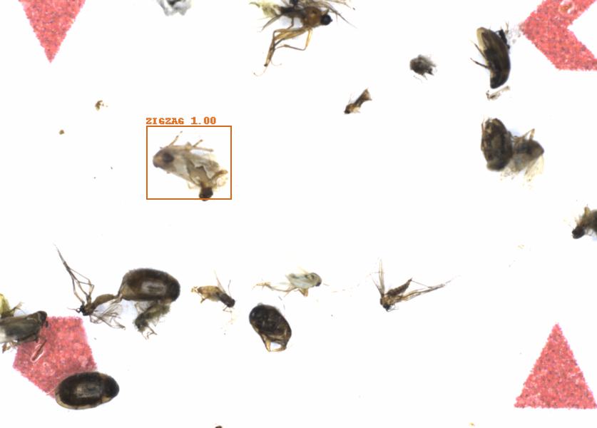 Fullscreen Image