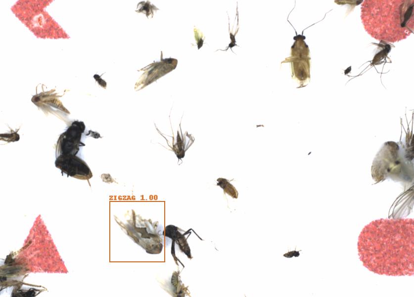 Fullscreen Image