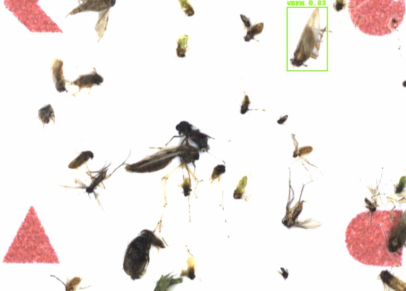 Fullscreen Image