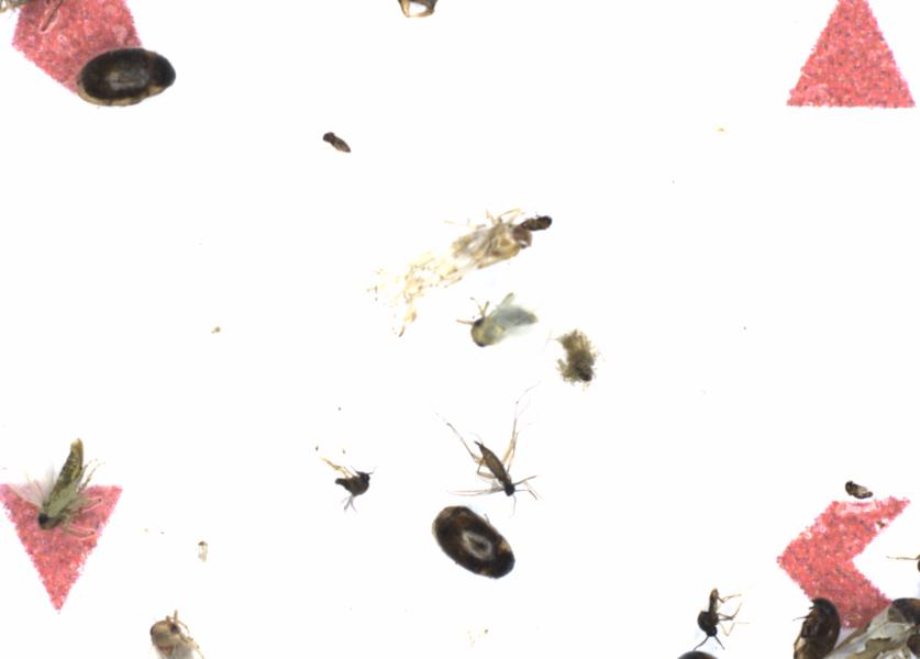 Fullscreen Image